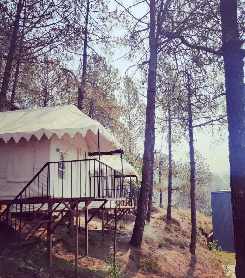 Paradise Pool Resort By Beyond Stay Nainital Exteriör bild